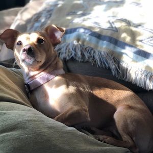 Meet your Posher, Cory